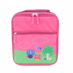 Insulated Lunch box for kids/bottle bag for school children/Cooler bag